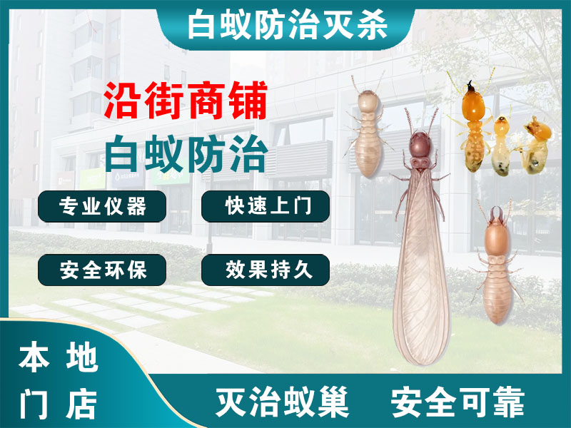 天宁区沿街商铺白蚁防治