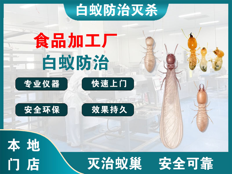 天宁区食品加工厂白蚁防治