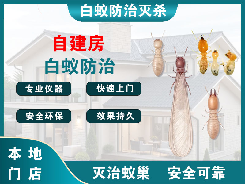 天宁区自建房白蚁防治