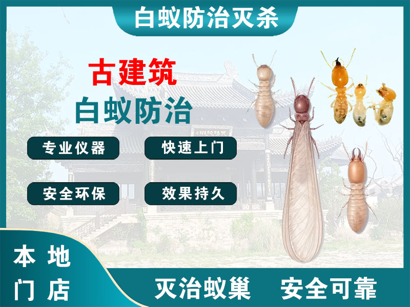 天宁区古建筑白蚁防治
