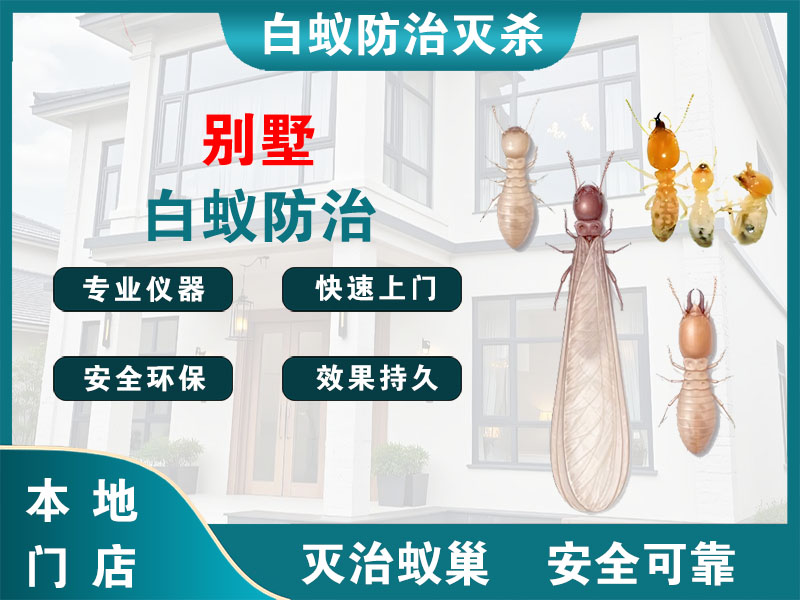 天宁区别墅白蚁防治