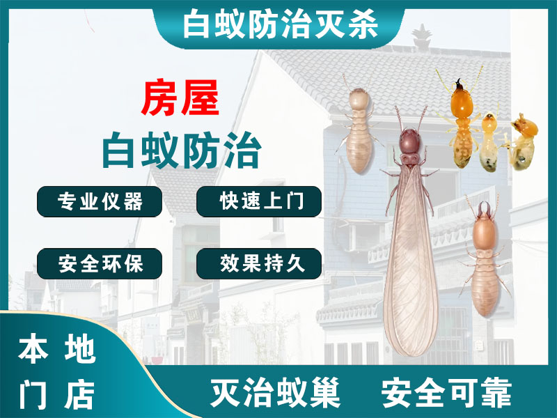 天宁区房屋白蚁防治